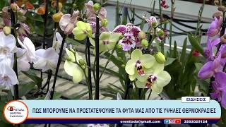 ΚΕΝΤΡΙΚΟ ΔΕΛΤΙΟ    14-8-26