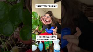 Каждые две недели носиться с мерным стаканчиком… #растения #садовод #удобрения