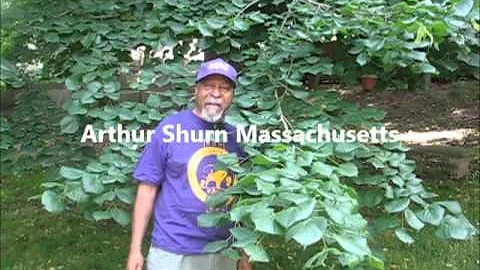 Morrow Reunion 2013 Arthur Shurn Trees