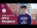 Why is nyu the perfect university for international students