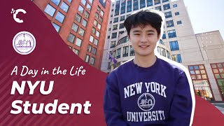 Why is NYU the Perfect University for International Students?