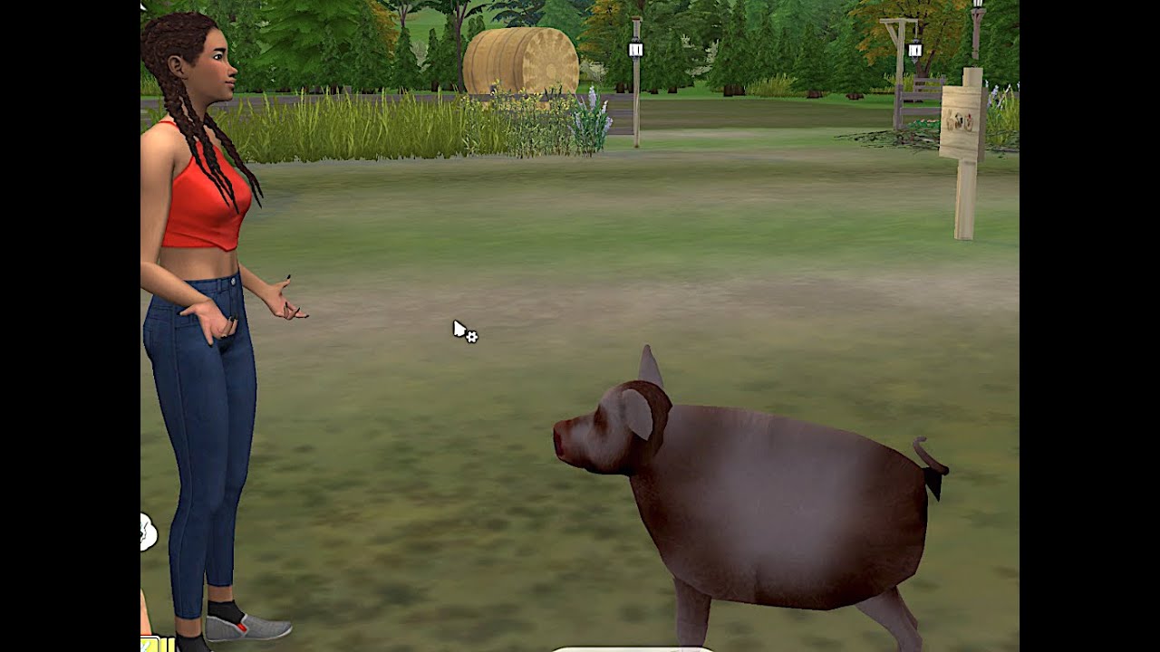 SIMS 4 FARMING! Pigs, ducks, sheep and more! YouTube