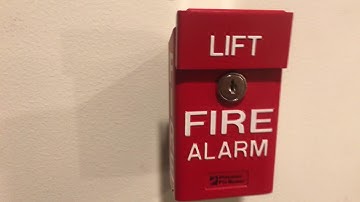 Notifier AFP 200 Test 4: Request Test-Michah Larson