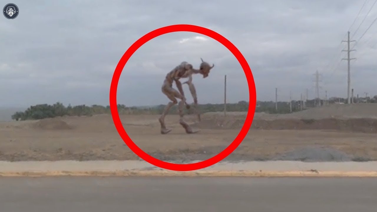 10-mysterious-creatures-in-the-world-youtube