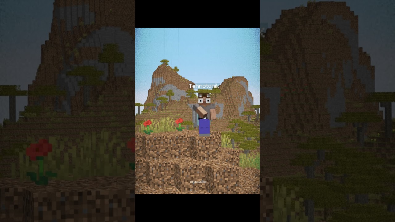 Minecraft 4Village Seed Moment