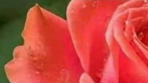 1/متشابهات سورة البقرة في كلمة(الَّذِينَ)
