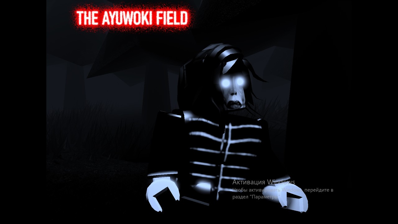 THE AYUWOKI FIELD