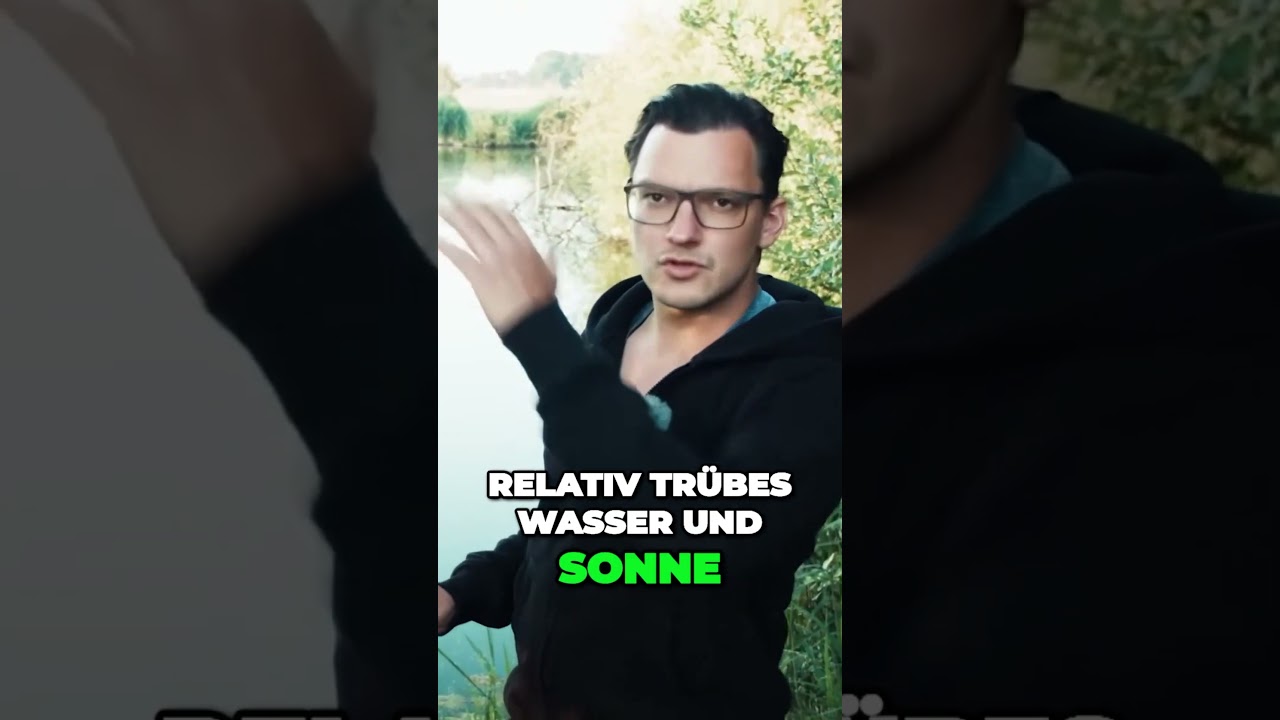 Angelferein: Erfolgreiche Tipps und Tricks für den ersten Raubfischfang Lieblingsköder