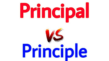 Difference between principal and principle with use and example | confusing word