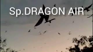 sp dragon air