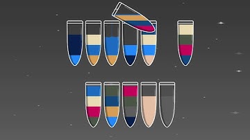 Water Sort Puzzle Gameplay | Brain Teaser & Relaxing Puzzle By NgStore , Games Store