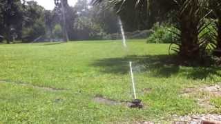 can birds fly in rain 3