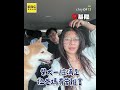 POV：颱風天出門的狗勾