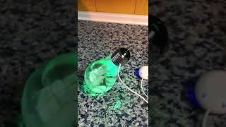 IMG 1248