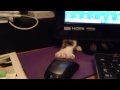 Stealth cat battles computer mouse