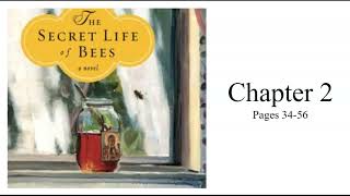 The Secret Life of Bees Chapter 2 (pages 44-54)