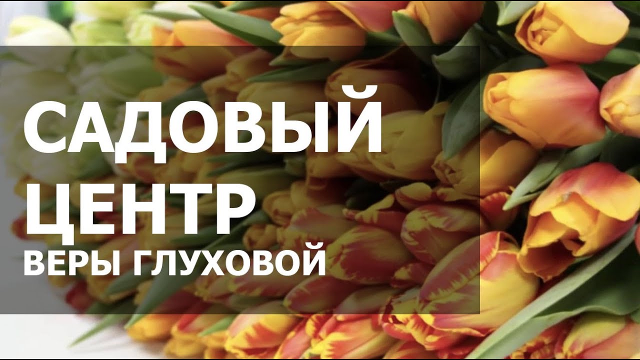 Центр Веры Глуховой Самара Адреса Магазинов Центр Веры Глуховой Самара Адреса Магазинов