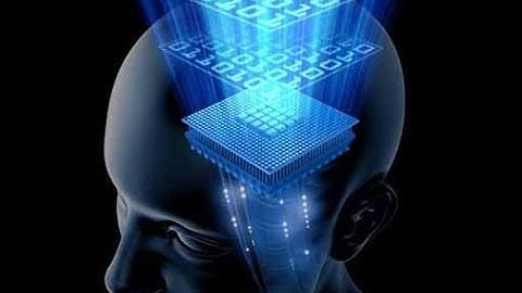 The 24th Health Teaching Workshop KF The Glands. Regulators subtle levels.