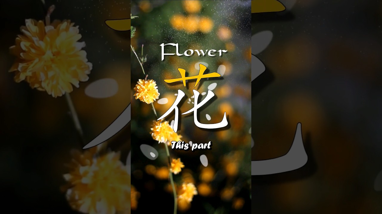 Why is the kanji 花 for flower 艹 + 化? Origin and etymology of