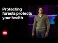 How to Stop the Next Pandemic? Stop Deforestation | Neil Vora | TED