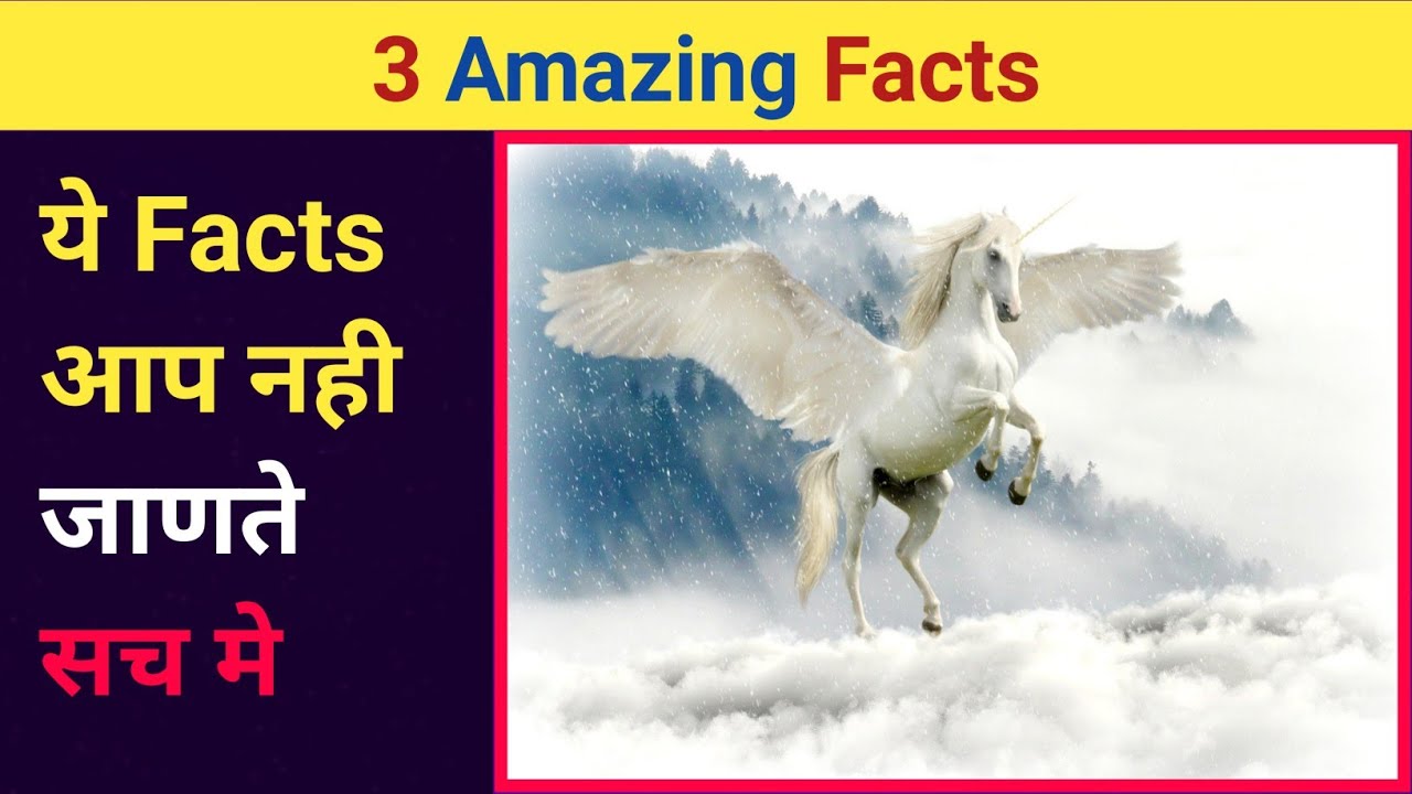 Top 3 Amazing Facts In Hindi Infoniket shorts YouTube