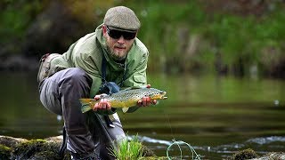 One Trout