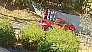 Caught On Ring Camera, Couple Taking A Piss.