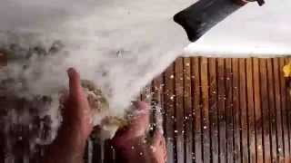 Sponge diver, zacharias, cleaning sea sponges on the boat with a high
powered water pump. we are pumping fresh saltwater from anclote river.
via y...