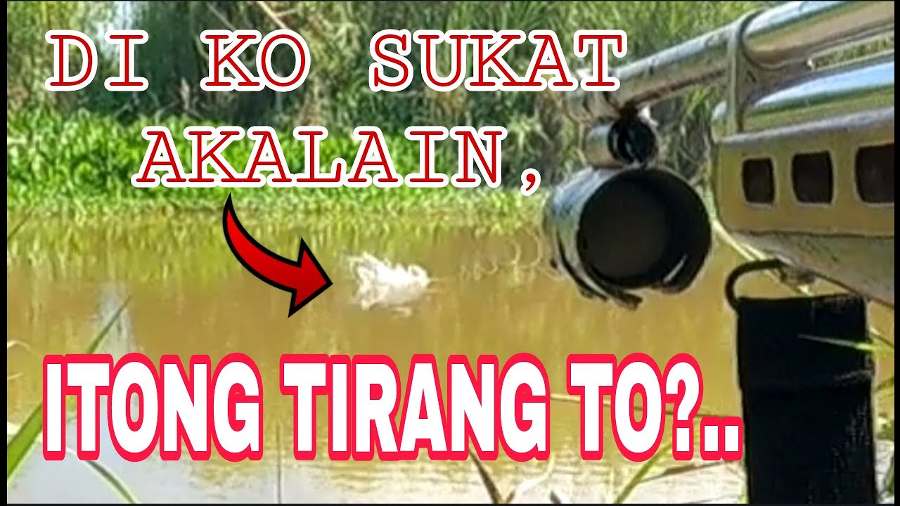P1 JACKPOT SA NAPUNTAHAN KUNG SPOT DAMING ISDA /Airgun Fishing /Fishgunerong Madiskartep