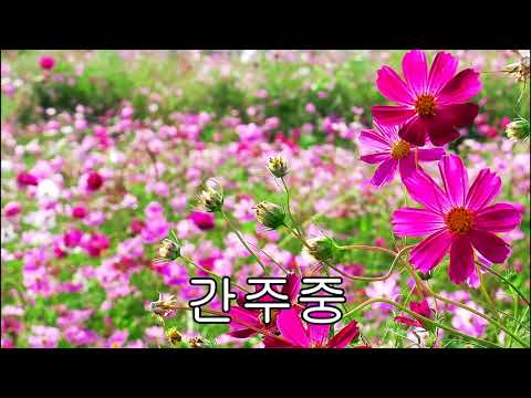 높임말친구 가사 영상