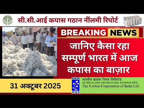 आज रुई बाज़ार की स्थिति कैसी रही🤓Aaj ka kapas bajar bhav #cotton #cottoncorporationofindia