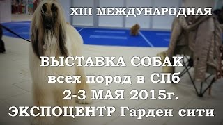 XIII Международная выставка собак всех пород XIII Международная выставка собак всех пород