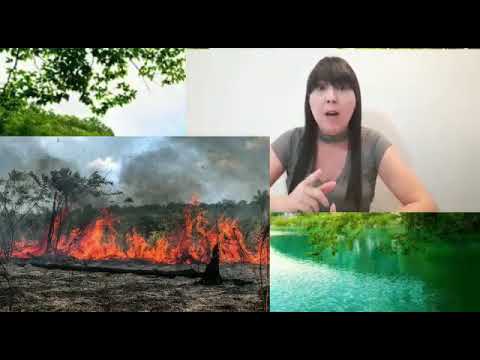 4º ano - Geografia - Vídeo 08 - Conservação e degradação da natureza