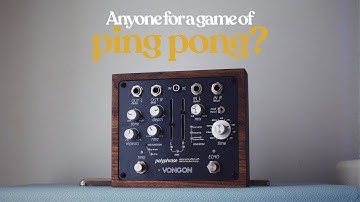 Vongon Polyphrase Stereo Echo - 