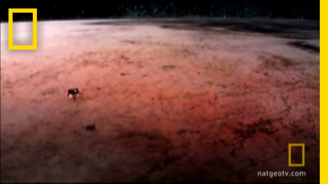 Imagining Pluto | National Geographic