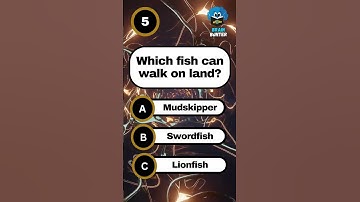 🚀 Slechts 1% kan alle 6 GK-vragen goed beantwoorden – Ben jij zo slim?