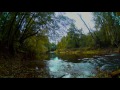 4h Video In 4k Relax Session Gentle Sound Of River Beginning Of Autumn 