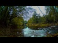 4h in 4k relax session  gentle sound of river beginning of autumn