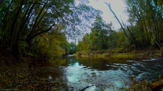 4h video in 4k relax session - gentle sound of river, beginning of autumn