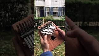 Kalimba Afra Cover - Valse Evgeny Grinko Resimi