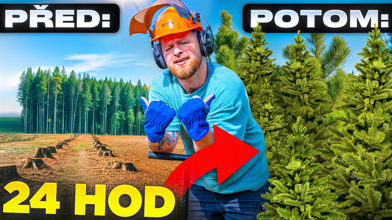 ZASADILI jsme 10.000 STROMŮ za 24hod CHALLENGE?!