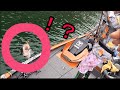 表層を突き破る破壊力【早明浦ダム神回】