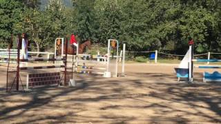 A Boy De Baimont, Amateur 2Vitesse 1,05M. 09102016