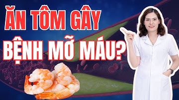 Bị Mỡ Máu Có Được Ăn Tôm Không? Giải Đáp Từ Chuyên Gia | Dược Sĩ Đại Minh