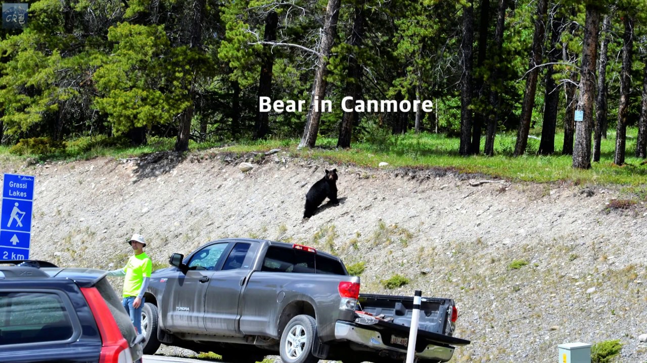 Spray Trail in Kananaskis County