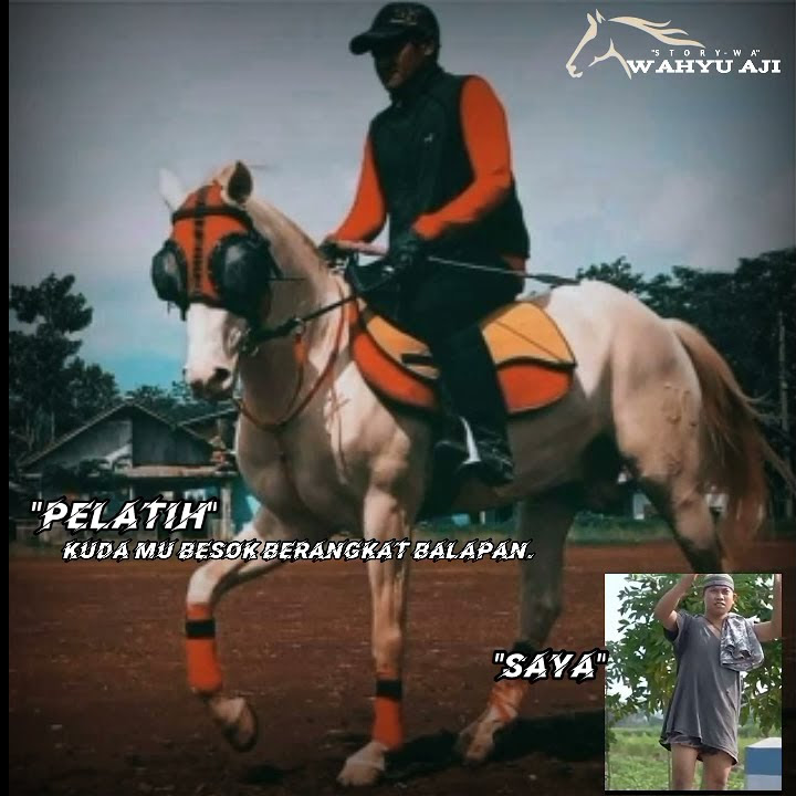 story' wa pacuan kuda