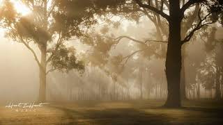 Relaxing Piano Music at Sunset 🌅 Peaceful Spring Forest Ambience for Deep Relaxation