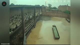 "15 Shocking Natural Disasters Ever Caught on Camera!"