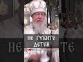 Не губите детей | еп. Августин (Анисимов)