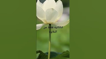 #فلسطين #quran #القرآن_الكريم #رمضان_يجمعنا #ختمة #معا نختم القرآن الكريم في رمضان